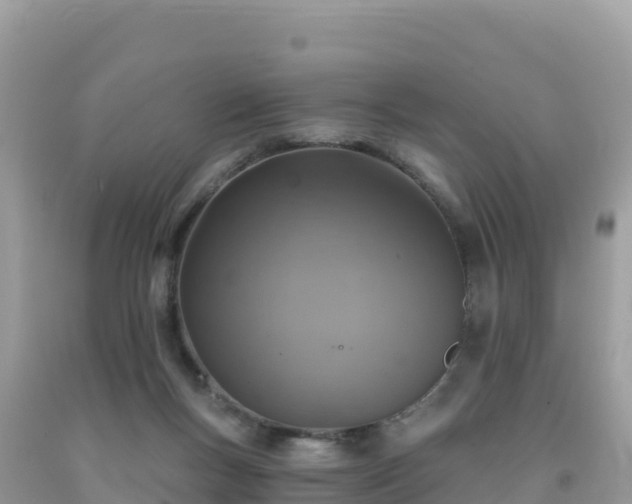 X0000092030167200709131627