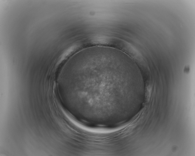 X0000092030168200709131627