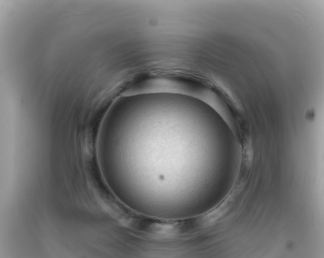 X0000092030170200709131627