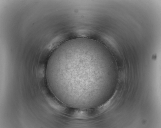 X0000092030174200709131627