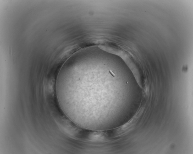 X0000092030175200709131627