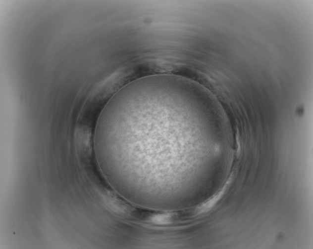 X0000092030178200709131627