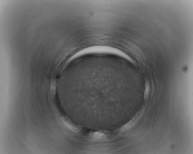 X0000092030180200709131627