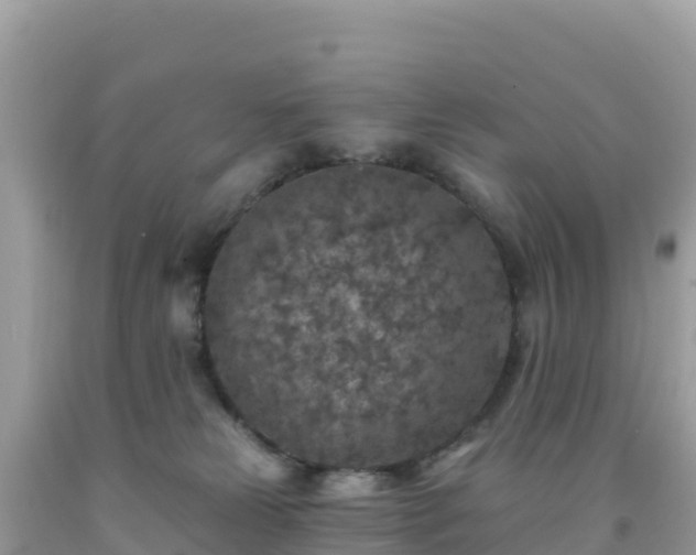 X0000092030181200709131627