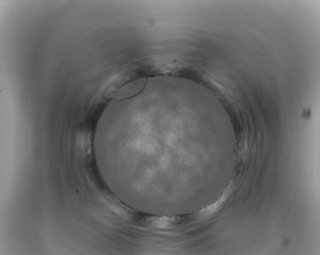 X0000092030182200709131627