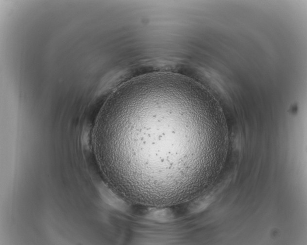 X0000092030185200709131627