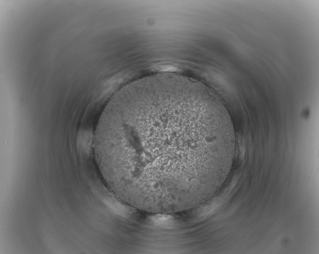 X0000092030189200709131627