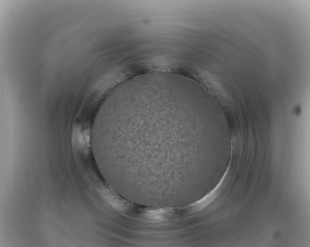 X0000092030190200709131627