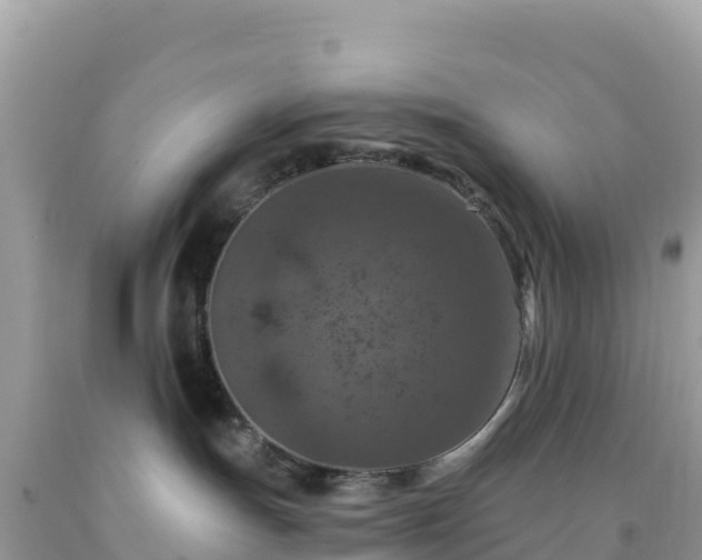 X0000092030191200709131627