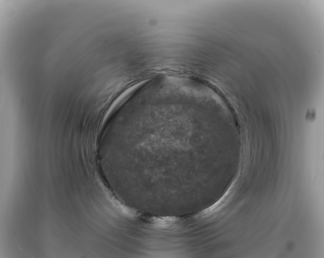 X0000092030192200709131627