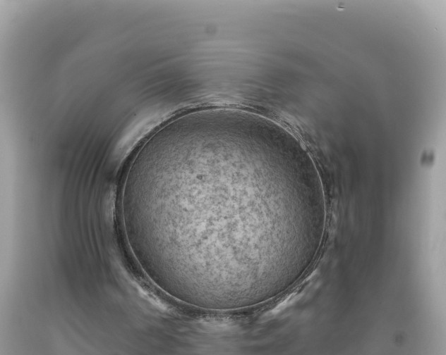 X0000092030194200709131626