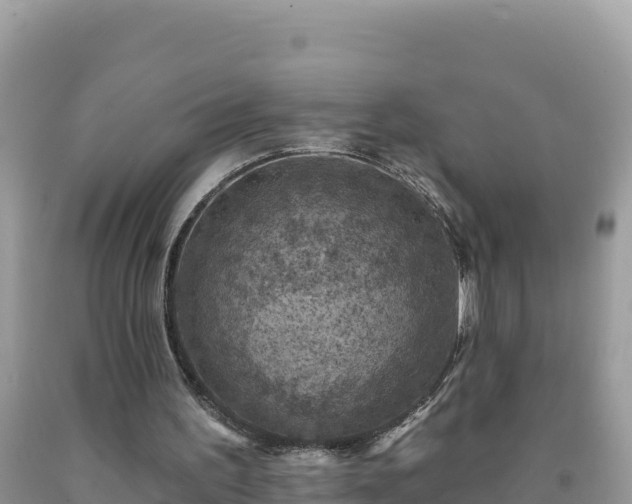 X0000092030195200709131626