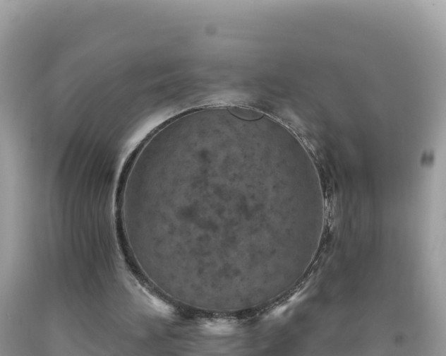 X0000092030196200709131626