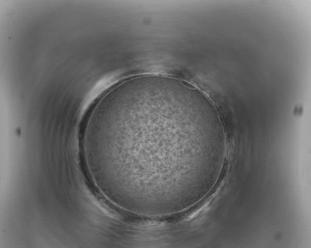 X0000092030198200709131626