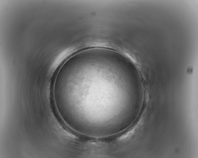 X0000092030199200709131626