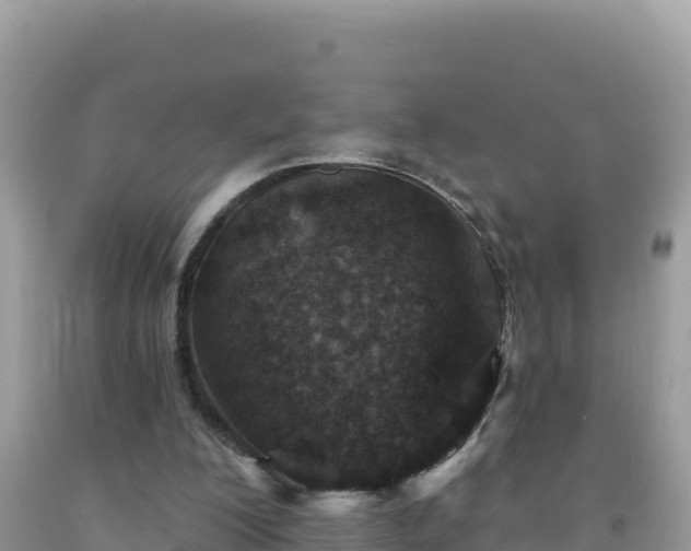 X0000092030200200709131626