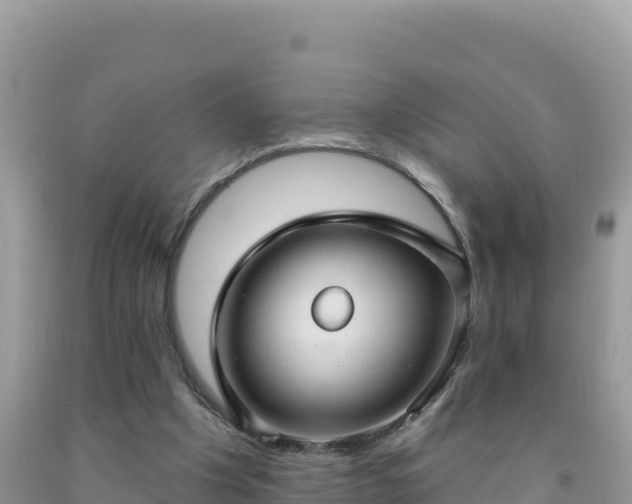 X0000092030201200709131626