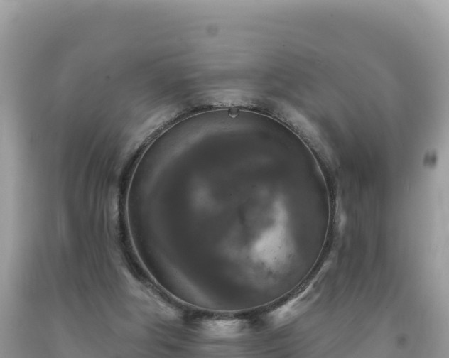 X0000092030202200709131626