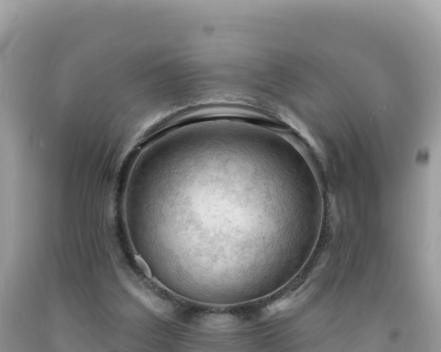 X0000092030203200709131626