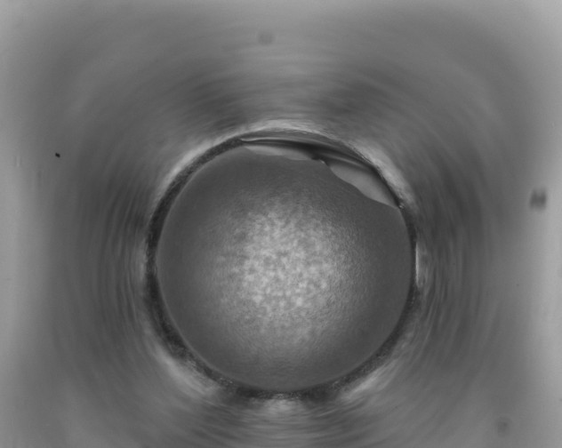 X0000092030204200709131626