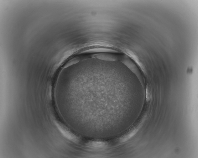 X0000092030205200709131626