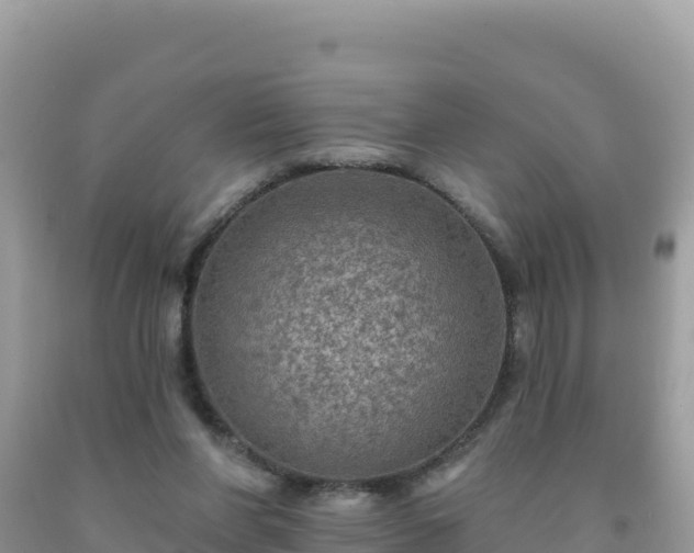 X0000092030206200709131626