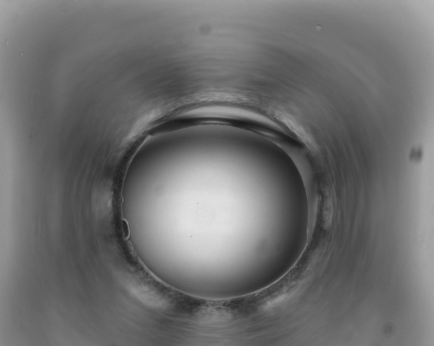 X0000092030207200709131626