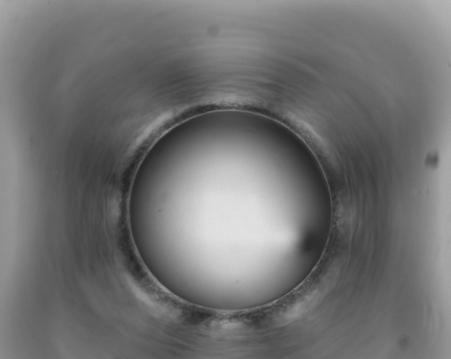 X0000092030208200709131626