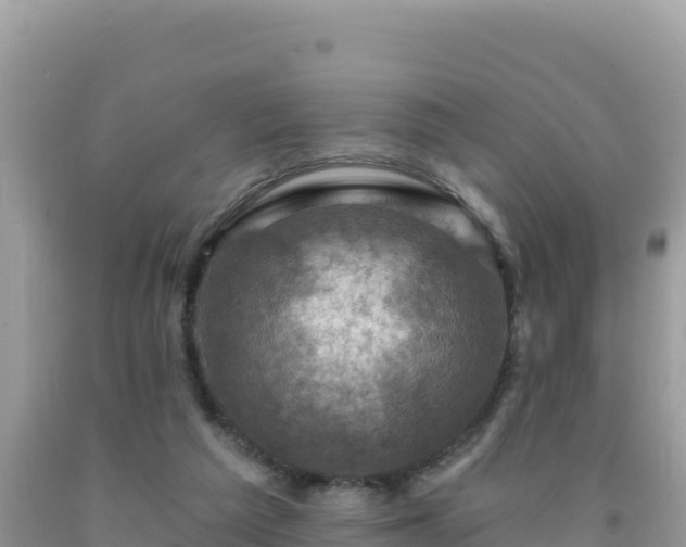 X0000092030209200709131626