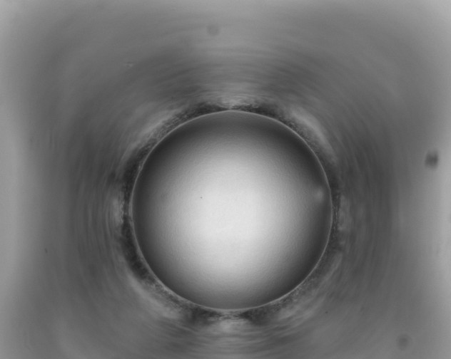 X0000092030210200709131626