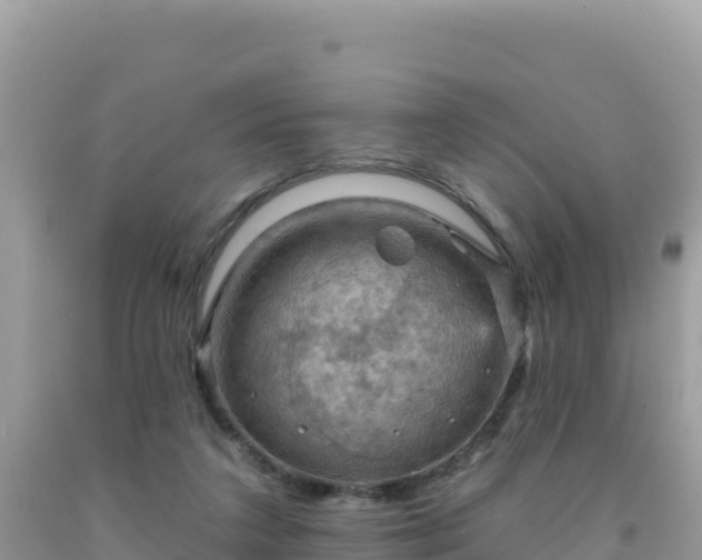 X0000092030211200709131626