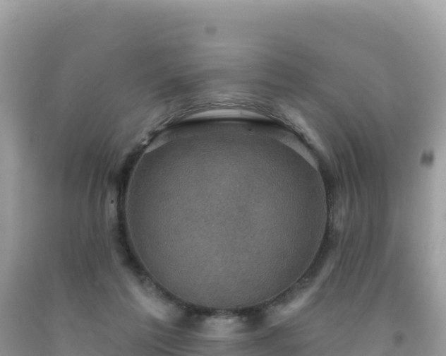 X0000092030213200709131626