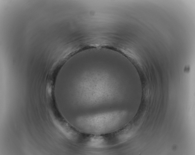 X0000092030214200709131626