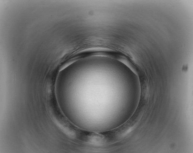 X0000092030215200709131626