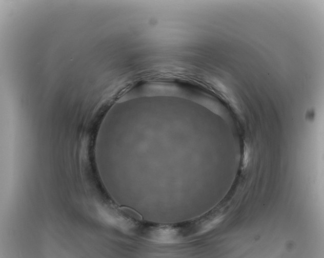 X0000092030217200709131626