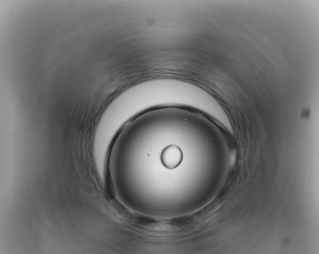 X0000092030219200709131626