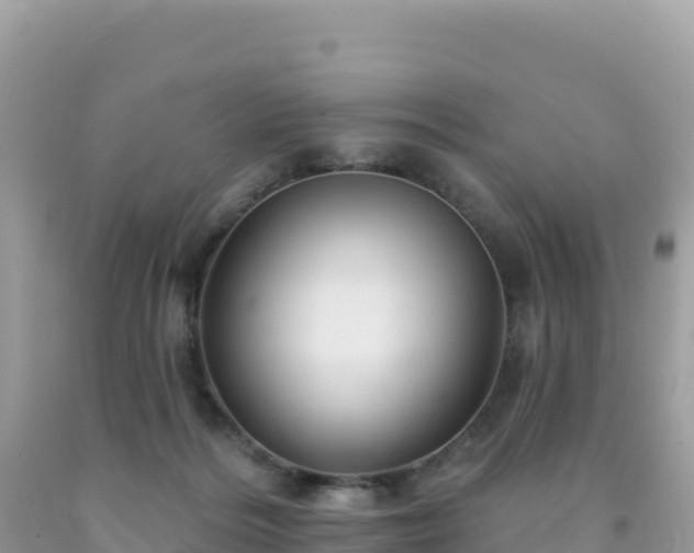 X0000092030220200709131626