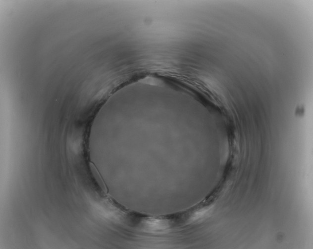 X0000092030221200709131626