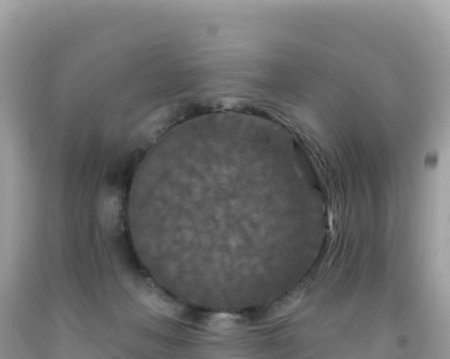 X0000092030222200709131626