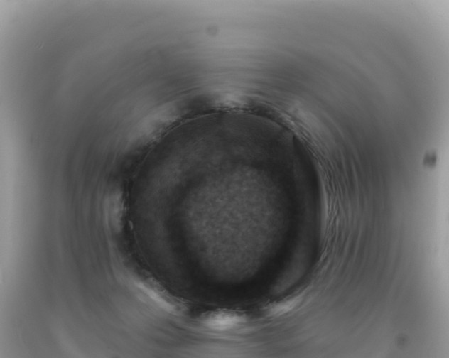 X0000092030223200709131626