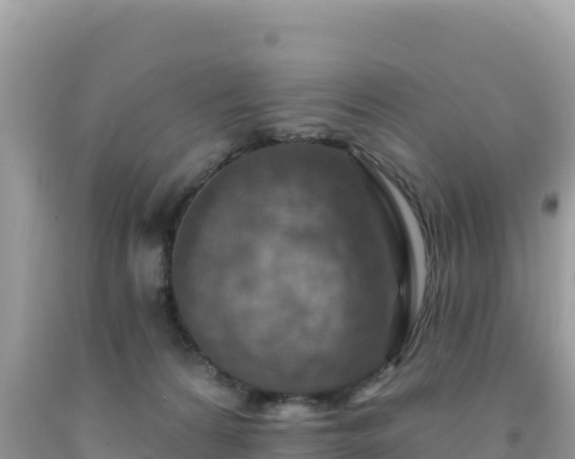 X0000092030224200709131626