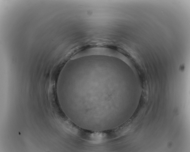 X0000092030225200709131626