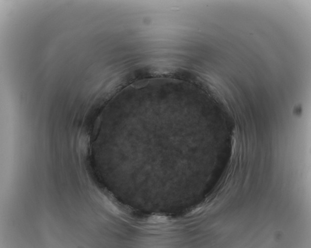 X0000092030227200709131626