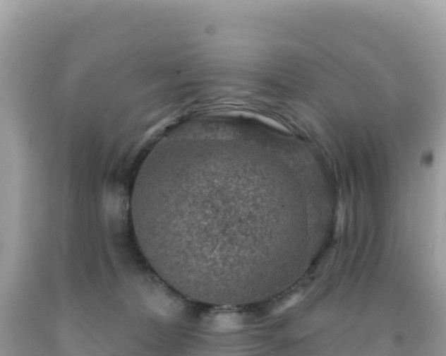 X0000092030228200709131626