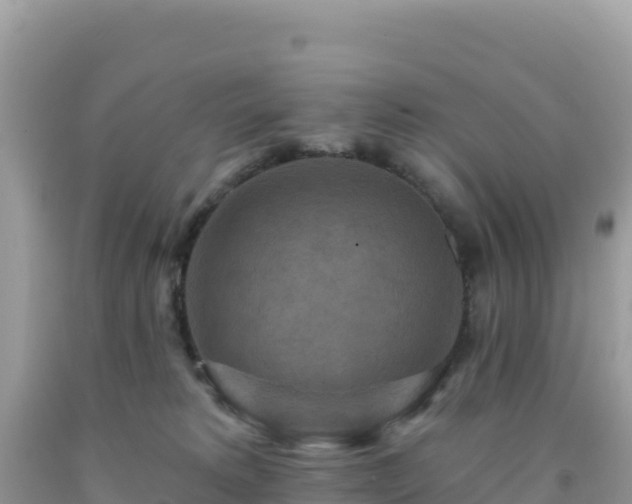 X0000092030229200709131626