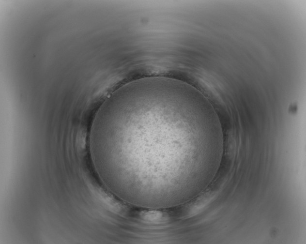 X0000092030230200709131626