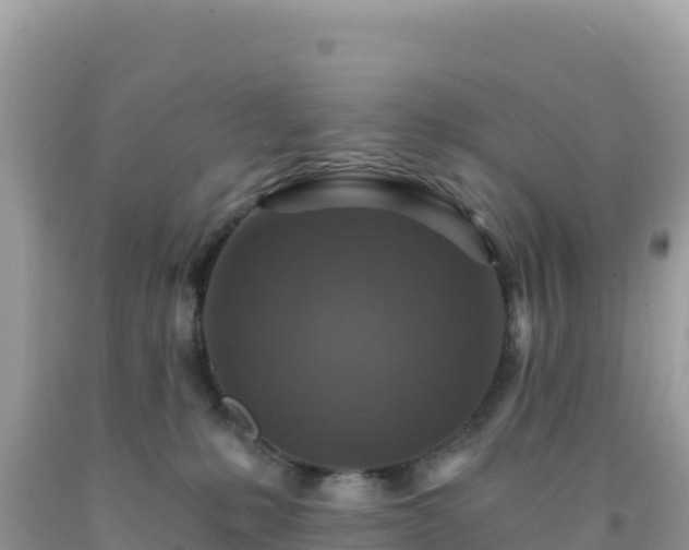 X0000092030231200709131626