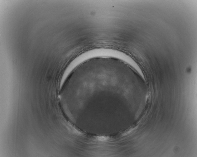 X0000092030233200709131626