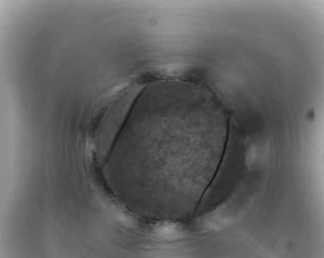 X0000092030235200709131626