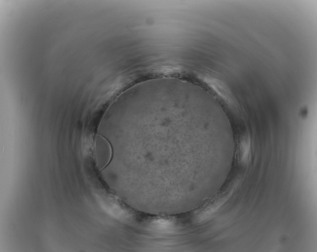 X0000092030236200709131625